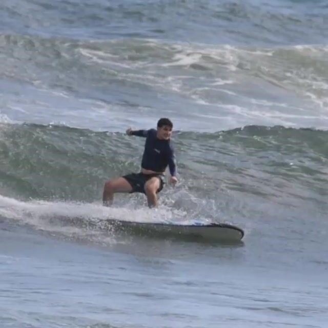 Surfer and dolphins in pipeline wave