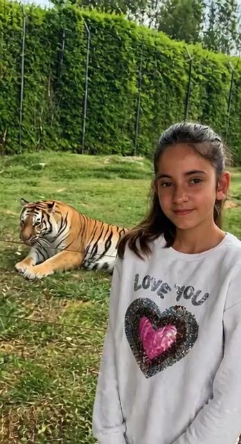 Ultra-realistic Girl in Nature Sunset